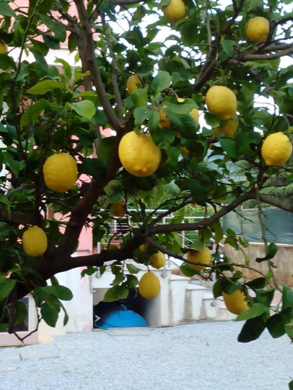 60Quattro bedrooms Lamezia Terme Esterno foto
